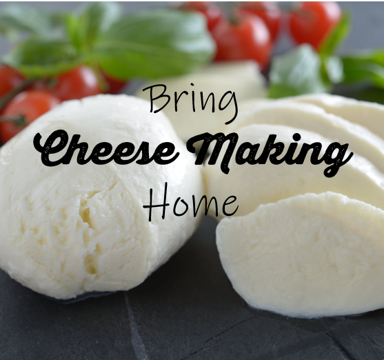 CHEESE MAKING KITS