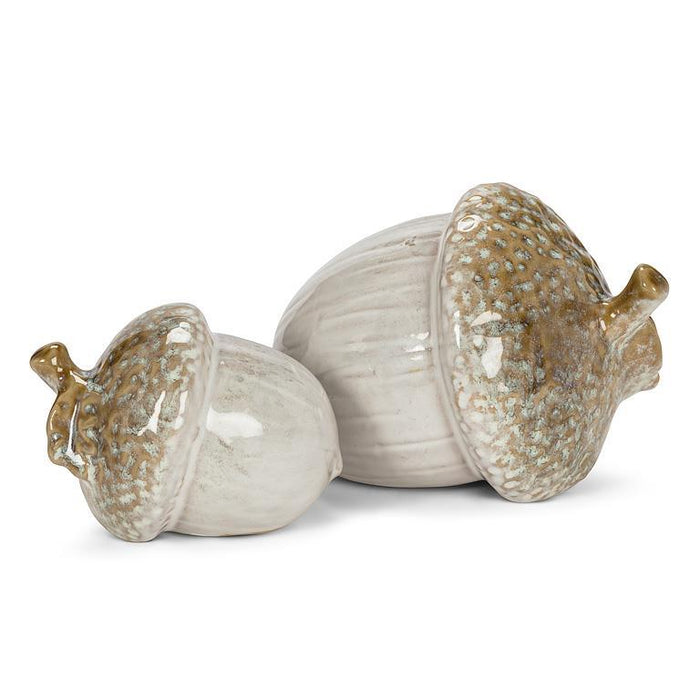 Woodland Acorn
