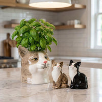 Cat Pair Salt & Pepper