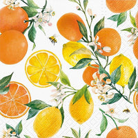 Citrus & Bees Cocktail Napkins, 20 Pack