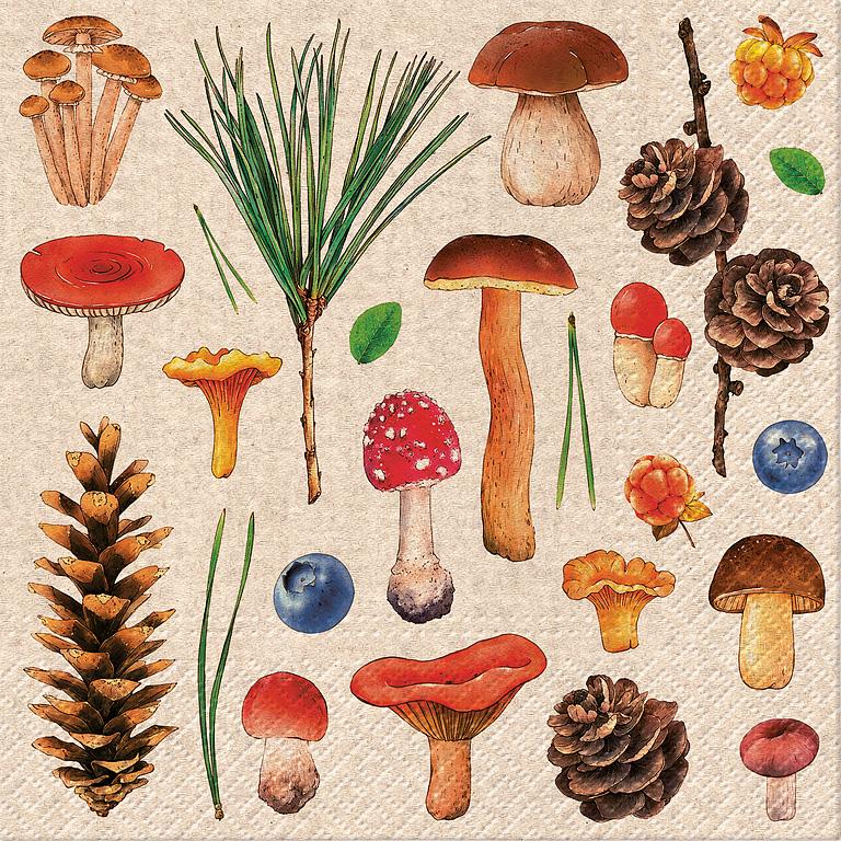 Woodland Whimsy Napkins, Lg. 20 pack (Copy)