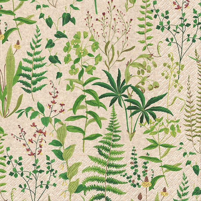 Herbal Garden Napkins (L), 20 packs