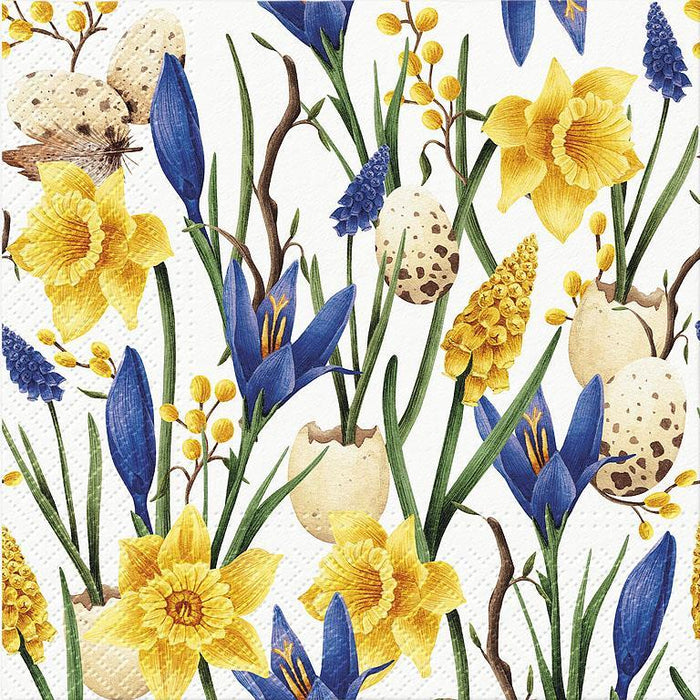 Muscari & Daffodils (L) Napkin , 20 Pack