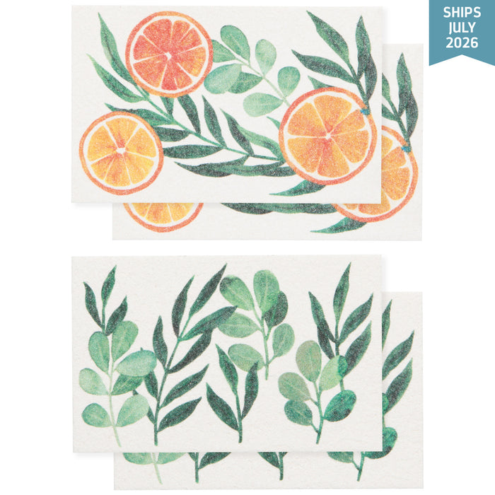 Cedar & Citrus Pop Up Sponges Set of 4