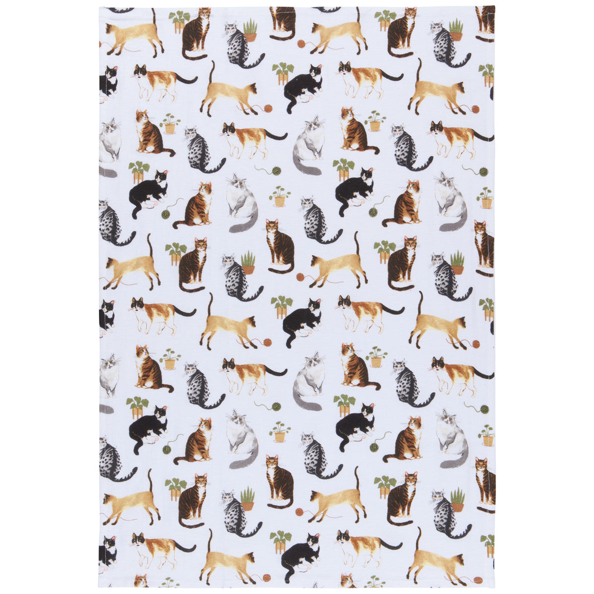 Cat Lover Dishtowels, Set of 3