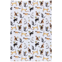Cat Lover Dishtowels, Set of 3