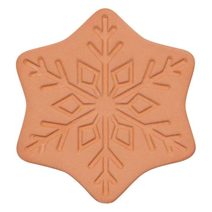 Star-shaped cookie cutter with snowflake design on a white background