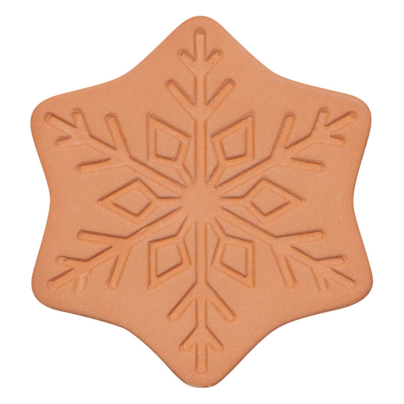 Star-shaped cookie cutter with snowflake design on a white background