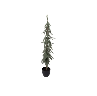 Large Slim Fir Potted Tree Large