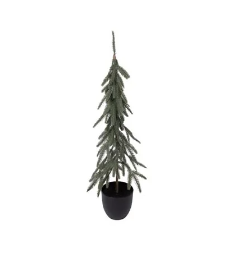 Medium Slim Fir Potted Tree Large