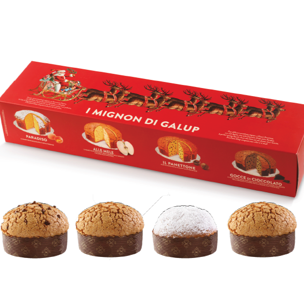 Galup Assorted Mini Panettone