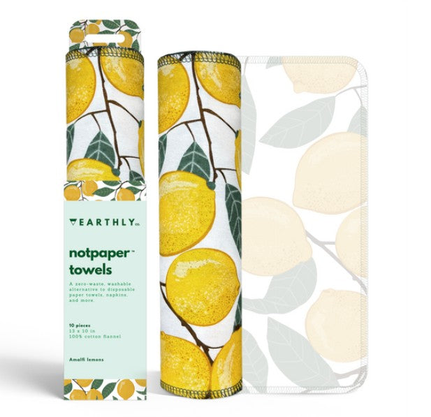 Reusable Paper Towel