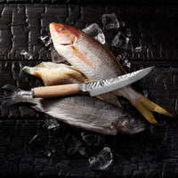 Premier Blonde 6" Boning Fillet Knife
