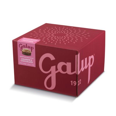 Galup Panettone with Black Cherry & Dark Chocolate