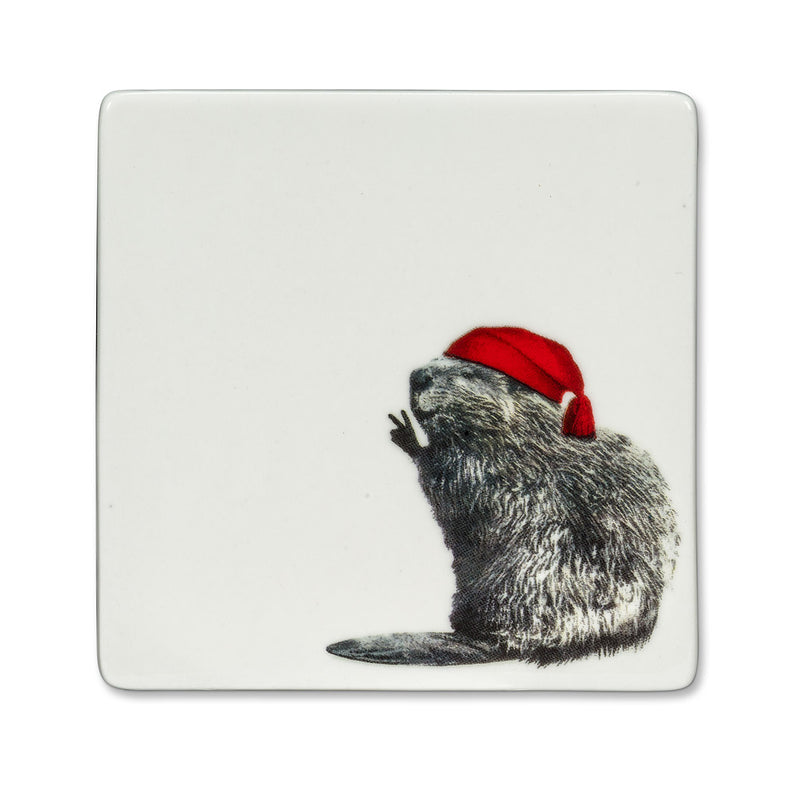 Voyageur Beaver Coaster