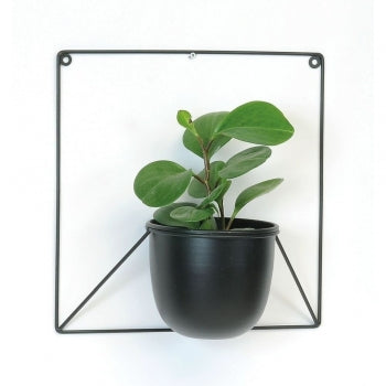 Wall Planter