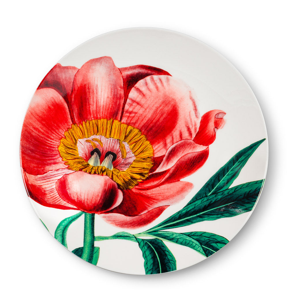 Extra Large Bloom Cocktail Plate, 8"