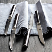 Classic Steak Knife Set, 4 pc.